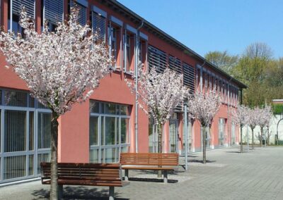 Ansicht des Schulgebäudes mit blühenden Bäumen und Bänken davor